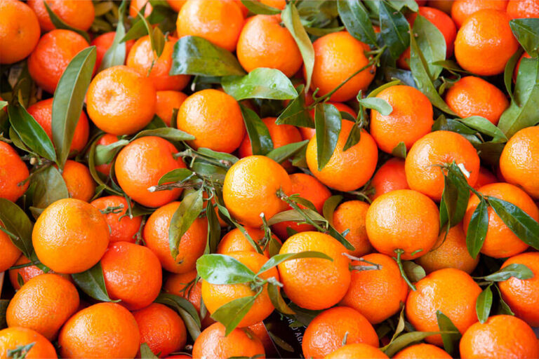 Clementine: un dolce abbraccio invernale