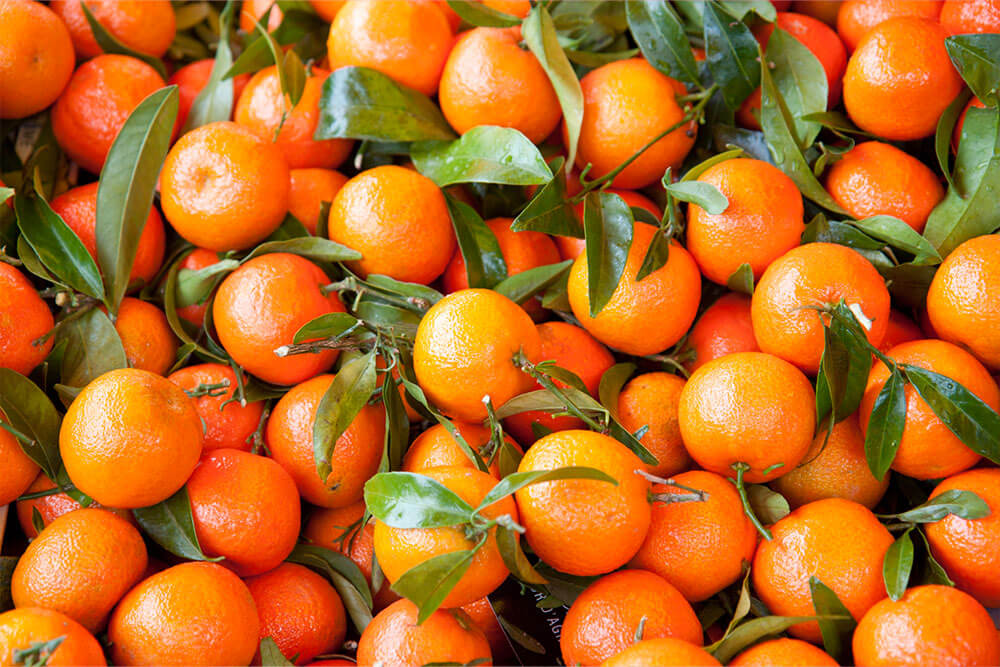 Clementine: un dolce abbraccio invernale